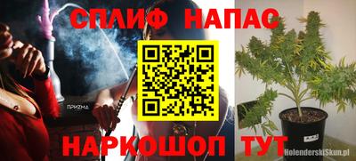 ГАЛЛЮЦИНОГЕННЫЕ ГРИБЫ Нальчик